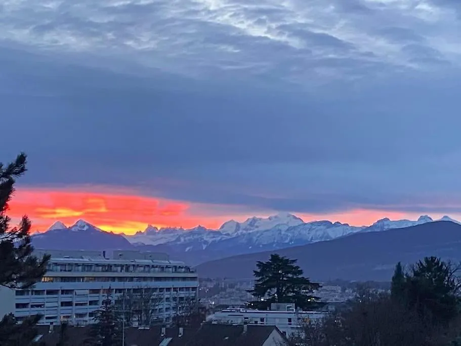 Tourelle 2 - Spacieux Appartement Dans Le Centre De Geneve